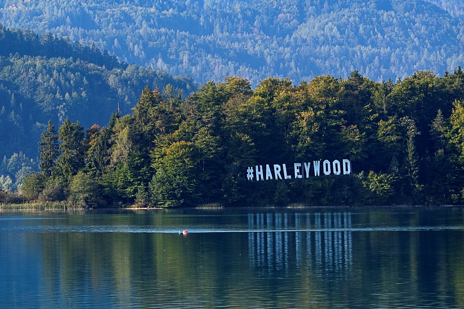 Harleywood