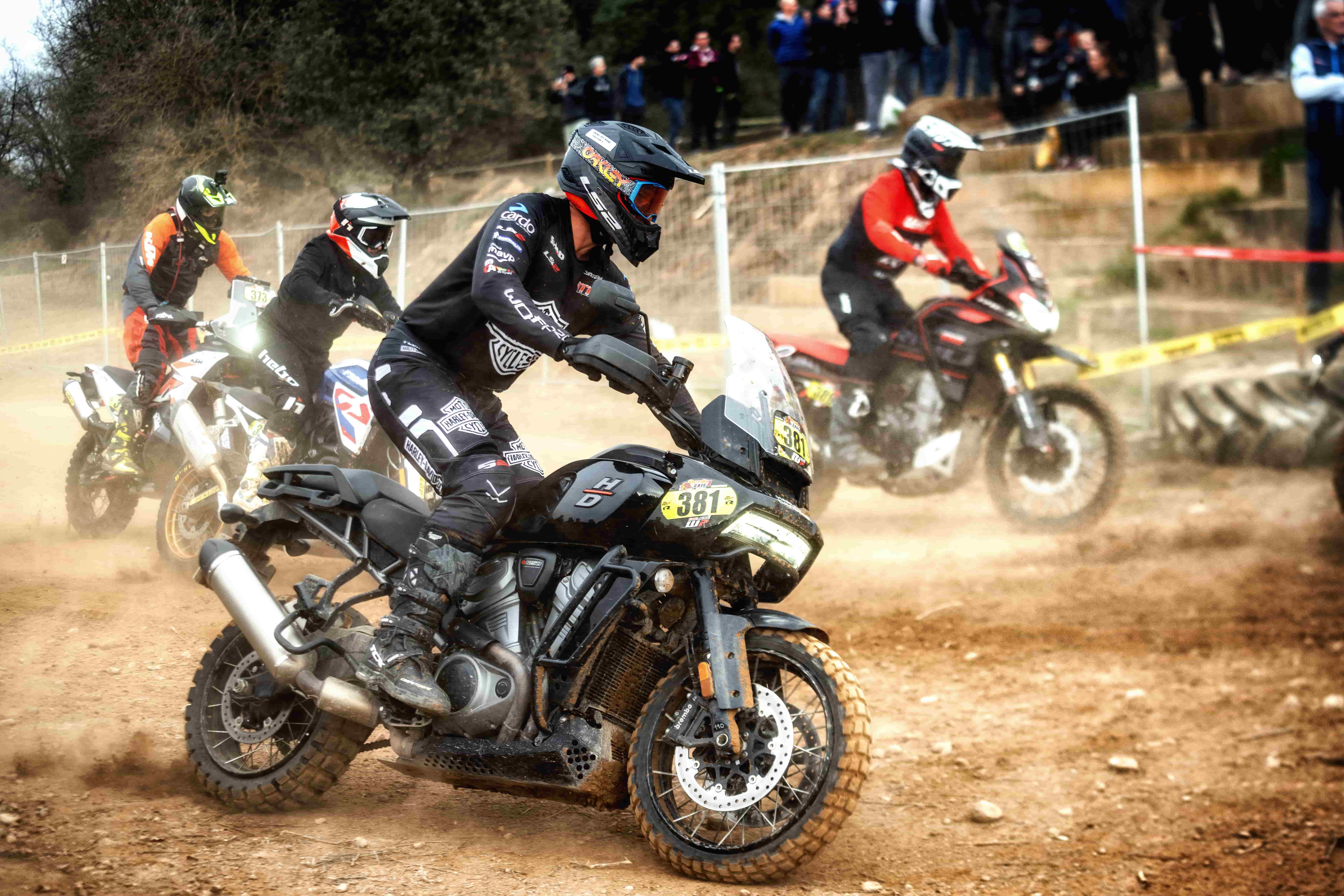 Race Basella