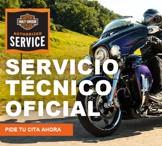 Servicio técnico oficial de harley davidson en Cádiz