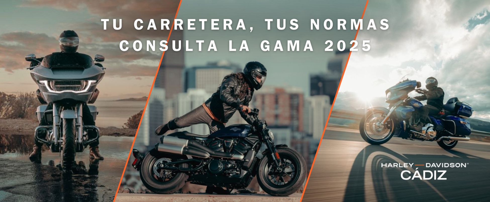 Nuevos modelos Harley-Davidson 2025