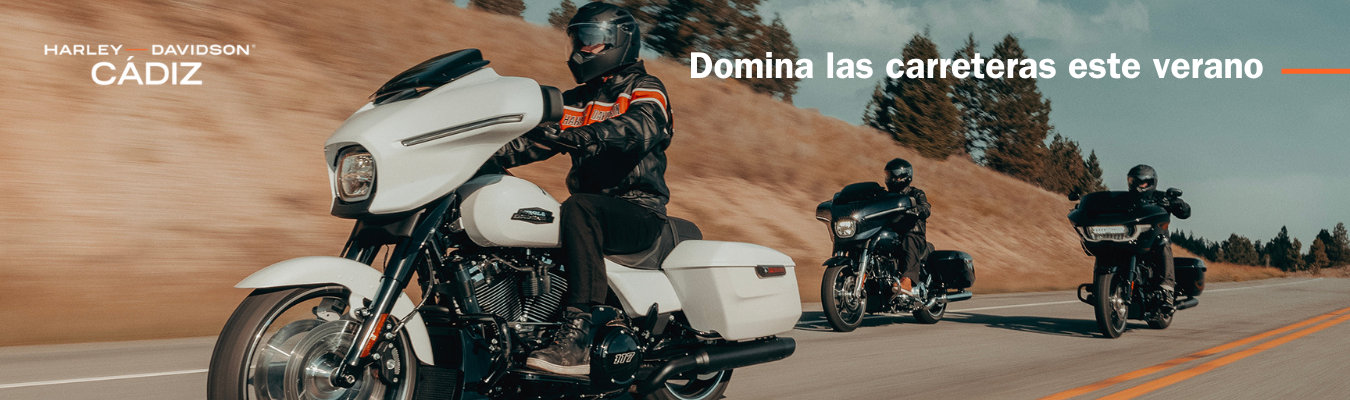 Domina las carreteras este verano con Harley Davidson